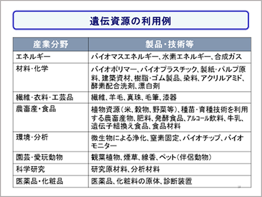 未来交流施設見学