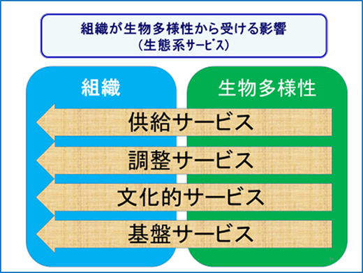 未来交流施設見学